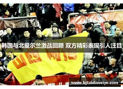 韩国与北爱尔兰激战回顾 双方精彩表现引人注目