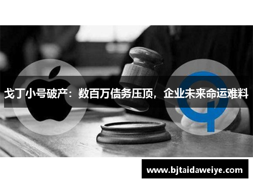 戈丁小号破产：数百万债务压顶，企业未来命运难料