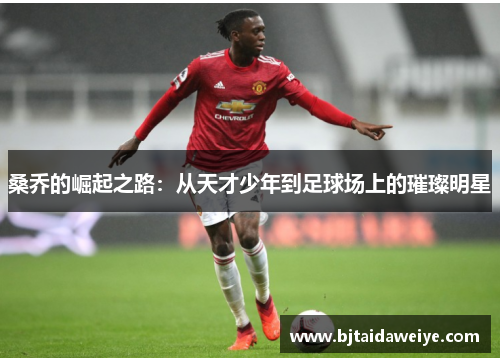 桑乔的崛起之路：从天才少年到足球场上的璀璨明星